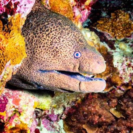 046 serge stage lattitude27 octobre 2018 046 serge stage lattitude27 octobre 2018