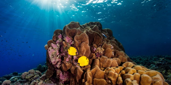 047 serge stage lattitude27 octobre 2018 047 serge stage lattitude27 octobre 2018