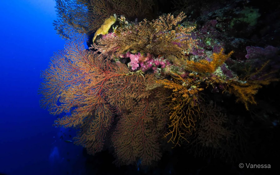 053 vanessa stage lattitude27 octobre 2018 053 vanessa stage lattitude27 octobre 2018