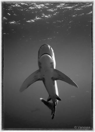 056 vanessa stage lattitude27 octobre 2018 056 vanessa stage lattitude27 octobre 2018