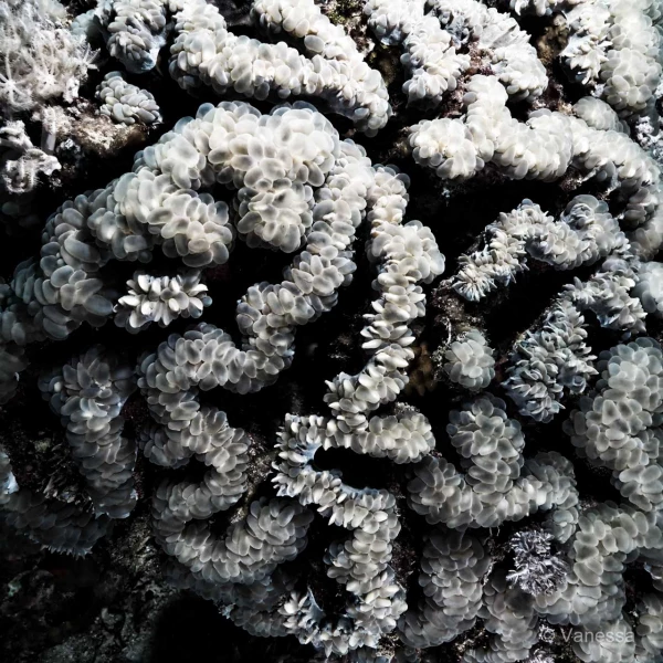 057 vanessa stage lattitude27 octobre 2018 057 vanessa stage lattitude27 octobre 2018