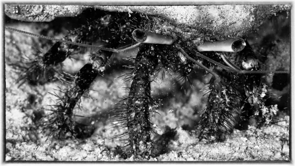 058 vanessa stage lattitude27 octobre 2018 058 vanessa stage lattitude27 octobre 2018