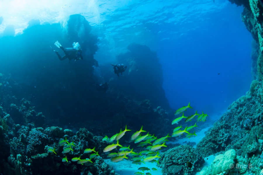 032 eric b stage reserves australes octobre 2019 032 eric b stage reserves australes octobre 2019