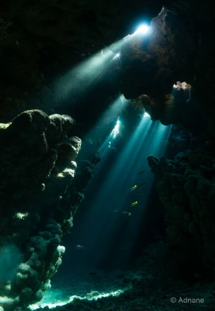 054 adnane stage reserves australes octobre 2019 054 adnane stage reserves australes octobre 2019