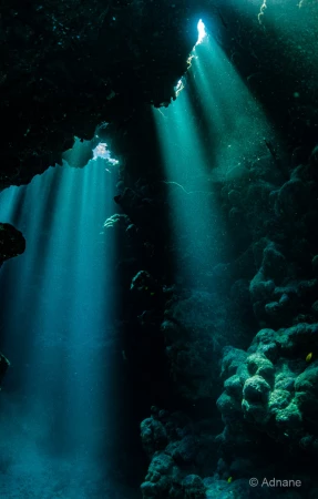 055 adnane stage reserves australes octobre 2019 055 adnane stage reserves australes octobre 2019