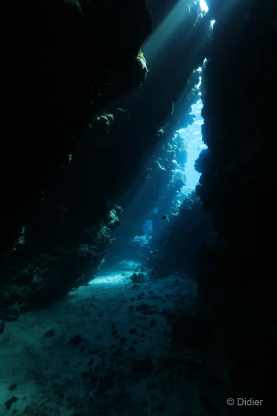 068 didier stage reserves australes octobre 2019 068 didier stage reserves australes octobre 2019