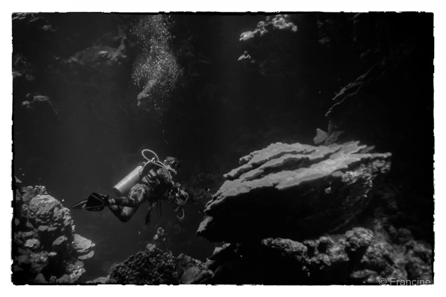 078 francine stage reserves australes octobre 2019 078 francine stage reserves australes octobre 2019