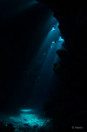 079 henri stage reserves australes octobre 2019 079 henri stage reserves australes octobre 2019