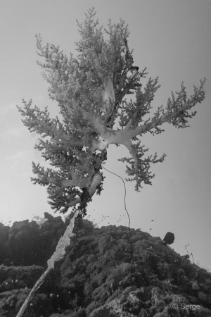 090 serge stage reserves australes octobre 2019 090 serge stage reserves australes octobre 2019