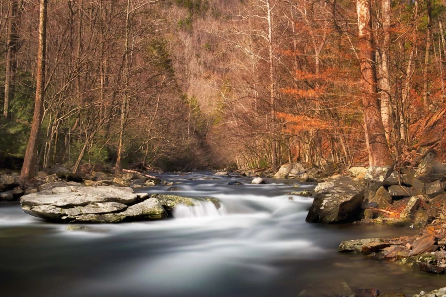 Cascade dans les Smoky Mountains dans le Tennesse aux Etats-Unis Cascade dans les Smoky Mountains dans le Tennesse aux Etats-Unis