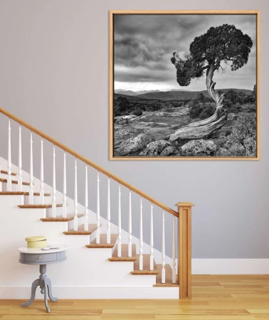Example of a fine art print hanging on a wall and created by Ama Example of a fine art print hanging on a wall and created by Ama