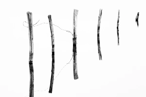 The Contextualization Is an Important Step to Analyze a photograph Photograph in Black and White of Poles planted in a Pond. Conceptual Photograph.