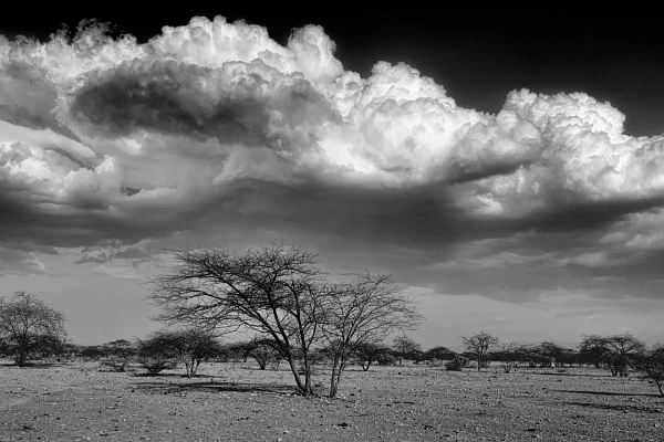 Create a Photographic Vision to Find Inspiration for your Photos For this collection of landscapes of Kenya, I did a lot of research before the trip.