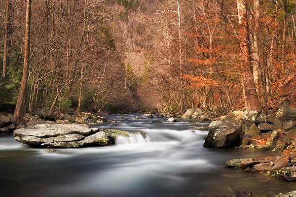 4 Reasons to Create Narrative Photos Example of a narrative photo of a landscape. Torrent in the Smoky Mountains in Tennessee. Photo in colour by Amar Guillen.