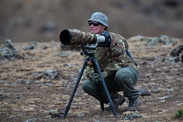 Avis sur mes stages et voyages de photo animalière Patricia, une nos fidèles stagiaires en attente du loup d'Ethiopie sur les hauts-plateaux ethiopiens.