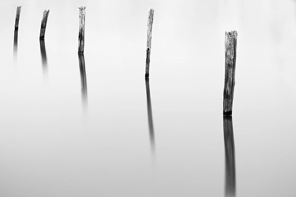 Services d'un photographe professionnel de paysages, animalier et sous-marin Photographie conceptuelle réalisée sur un étang. Piquets photographiés en pose longue.