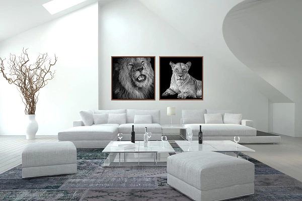 Fine Art Print Collections in Back to Black Example of a home interior with fine art prints in my style back to black displayed on the wall. These photos are a part of my collection 'Wild beauties of Kenya'.