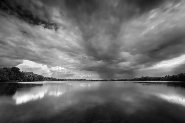 Photos d'art de paysages en noir et blanc : "Le souffle des étangs oubliés de la Dombes" Paysage d'un étang de la Dombes. Photographie d'art en noir et blanc par Amar Guillen, artiste photographe.