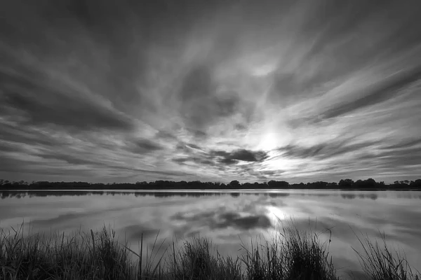 Photos d'art de paysages en noir et blanc : "L'âme cachée de la Dombes" Paysage d'un étang de la Dombes à l'aurore. Photographie d'art en noir et blanc par Amar Guillen, artiste photographe.