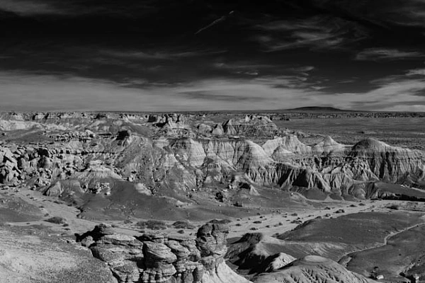 Your Photographic Why Is Essential in Your Photographic Approach Landscape in black and white of Petrified Forest in Arizona. Photograph by Amar Guillen, photographer artist.