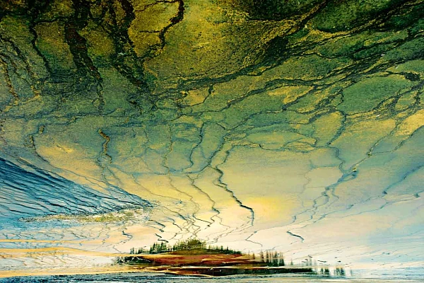 Portfolio de photos abstraites de la nature en couleur Portfolio de photos abstraites en couleur de Amar Guillen, photographe.