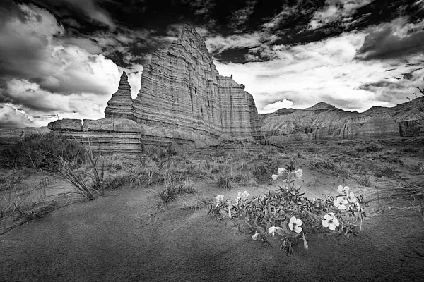 Using the Concepts of Studium and Punctum to Create your Photos Landscape in black and white of Cathedral Valley in Utah in United States. This photo shows the studium and the punctum.