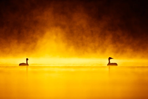 Balance and Proportion: 2 Principles of Art to Apply in Photography