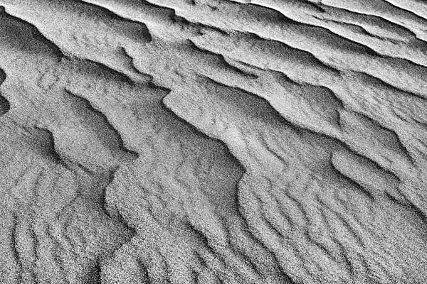 Bad Photos Do Not Exist Details of a sand dune of Great National Dunes national park in Colorado.