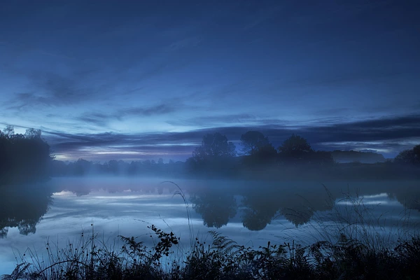 Why Telling a Story with your Photos Is So Important Landscape of a wetland in Haute-Saintonge in Charente-Maritime in France.