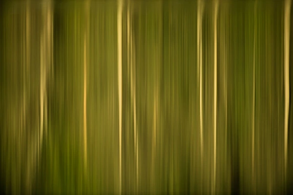Why and How: Developing a Photographic Consciousness The magic of conceptual photography. A photo from the 'Illusions' art prints collection.
