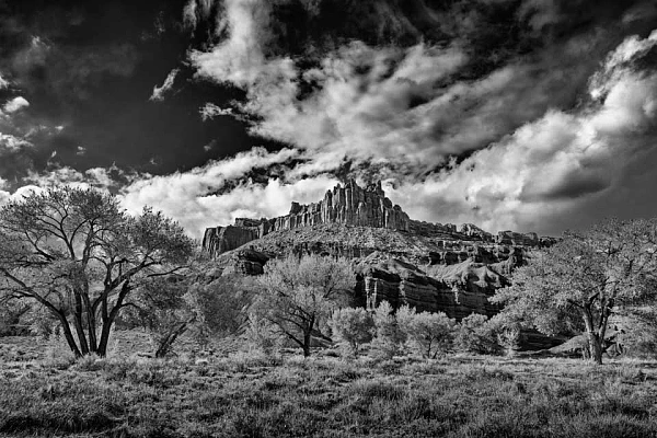 The 2 Genres of Photography: Illustrative Photography and Artistic Photography Photo de paysage en noir et blanc du Dôme prise à Capitol Reef dans l'état de l'Utah. Photo en noir et blanc par Amar Guillen.