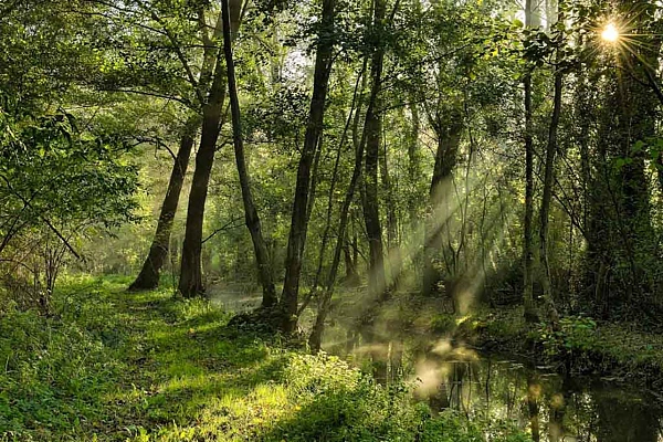 7 Tips to Create your Photos in a Methodical Way We waited a week before creating this photograph. We wanted the sun at this particular place. We proceeded by method.
