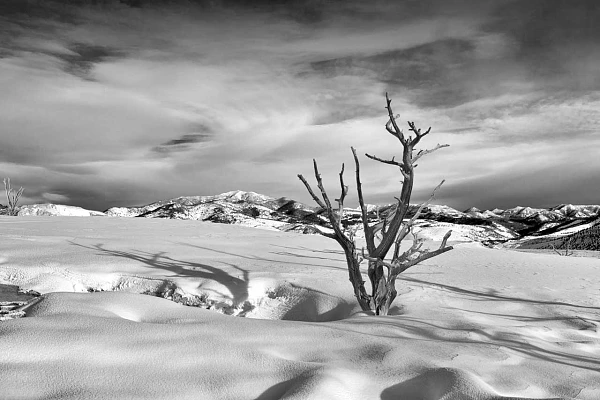 3 Steps for Giving Meaning to Your Photos Snowy landscape of Yellowstone during winter.