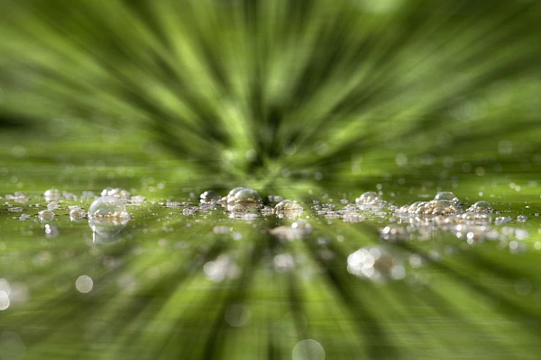 3 Tips for Establishing a Photographic Strategy and Improving Your Photographs Conceptual photo taken at the surface of water from a floating blind.