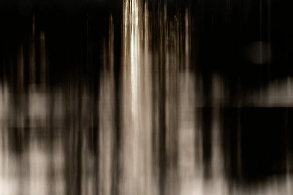 Portfolio de photos abstraites de la nature en noir et blanc Portfolio de photos abstraites en noir et blanc de Amar Guillen, photographe.