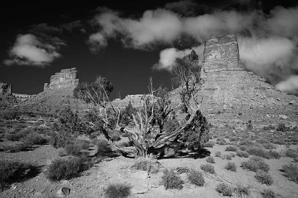 Why and How: Photographing Valley of the Gods in Utah Landscape in black and white of Valley of the Gods in Utah. Photography by Amar Guillen, Photographer Artist